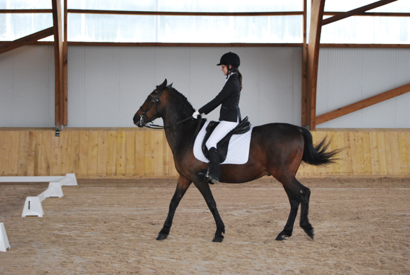 Cuatro Medallas en el Campeonato de España FEDDI